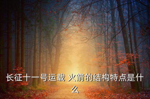 長(zhǎng)征十一號(hào)運(yùn)載 火箭的結(jié)構(gòu)特點(diǎn)是什么