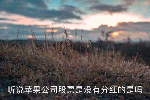 聽(tīng)說(shuō)蘋(píng)果公司股票是沒(méi)有分紅的是嗎