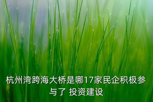 杭州灣跨海大橋是哪17家民企積極參與了 投資建設(shè)