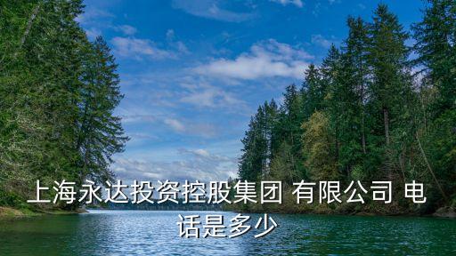 上海市東信投資有限公司固定電話