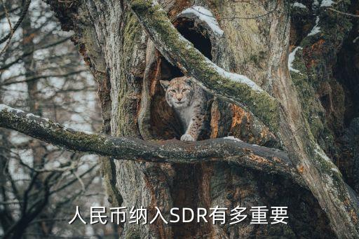 加入sdr對(duì)銀行股票是否有利