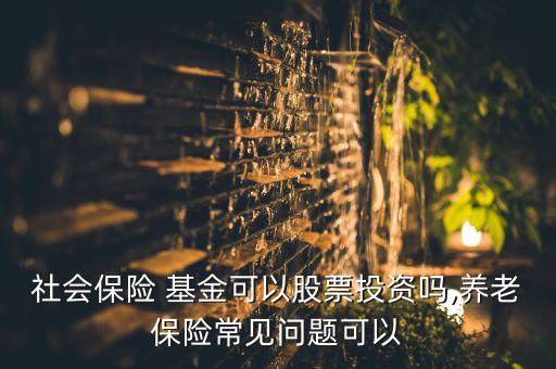 社會保險 基金可以股票投資嗎,養(yǎng)老保險常見問題可以