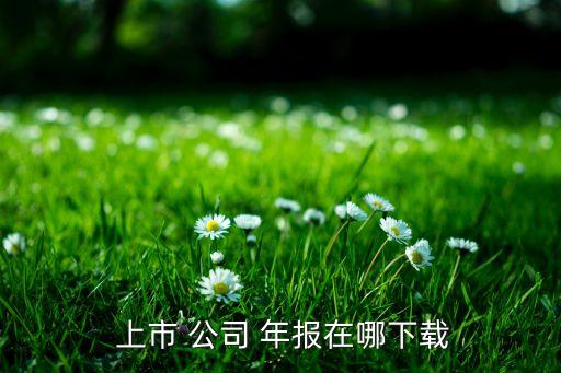 如何查上市公司以前的年報,上市公司輔導(dǎo)期年報怎么查