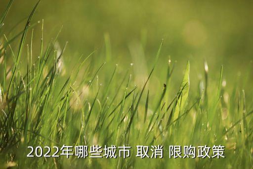 2022年哪些城市 取消 限購(gòu)政策