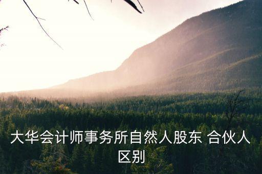 大華會(huì)計(jì)師事務(wù)所自然人股東 合伙人區(qū)別