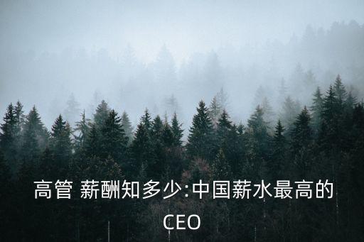  高管 薪酬知多少:中國薪水最高的CEO