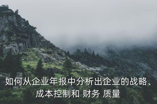 如何從企業(yè)年報中分析出企業(yè)的戰(zhàn)略、成本控制和 財務(wù) 質(zhì)量