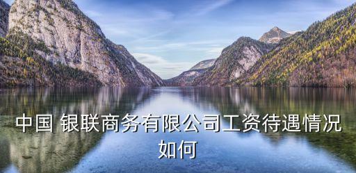 中國 銀聯(lián)商務(wù)有限公司工資待遇情況如何