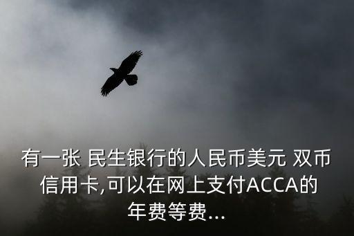 有一張 民生銀行的人民幣美元 雙幣 信用卡,可以在網(wǎng)上支付ACCA的年費(fèi)等費(fèi)...