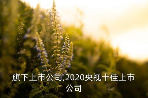 央視旗下上市公司,2020央視十佳上市公司