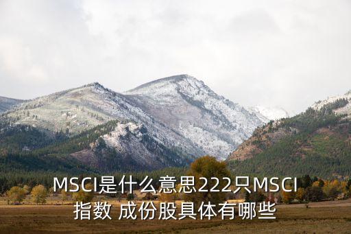 MSCI是什么意思222只MSCI指數(shù) 成份股具體有哪些