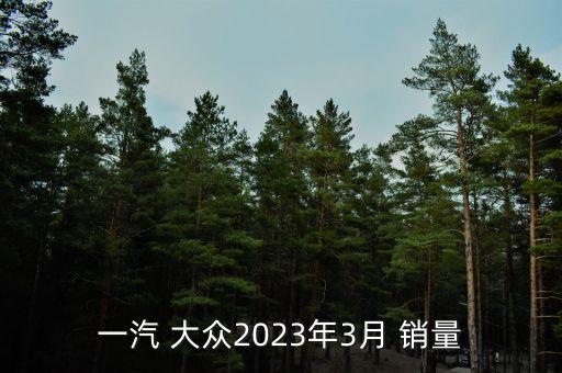 一汽 大眾2023年3月 銷(xiāo)量