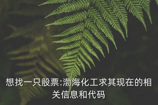 想找一只股票:渤?；で笃洮F(xiàn)在的相關(guān)信息和代碼