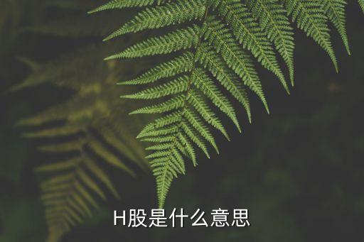 中國(guó)h股,中國(guó)H股和恒指期貨有什么區(qū)別