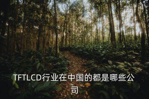 TFTLCD行業(yè)在中國(guó)的都是哪些公司