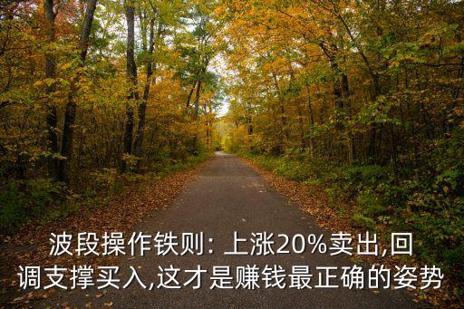 波段操作鐵則: 上漲20%賣出,回調(diào)支撐買入,這才是賺錢最正確的姿勢(shì)