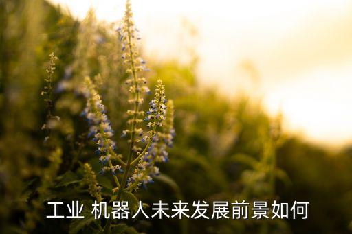 中國工業(yè)機器人的需求最新預(yù)計