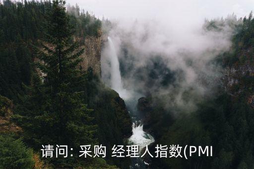 請(qǐng)問(wèn): 采購(gòu) 經(jīng)理人指數(shù)(PMI