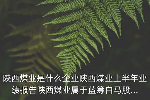 陜西煤業(yè)是什么企業(yè)陜西煤業(yè)上半年業(yè)績報告陜西煤業(yè)屬于藍(lán)籌白馬股...