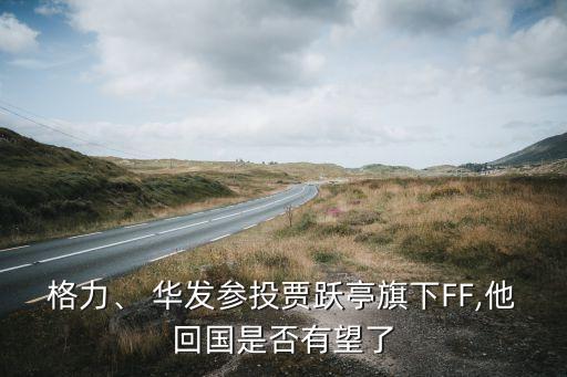 格力、 華發(fā)參投賈躍亭旗下FF,他回國(guó)是否有望了