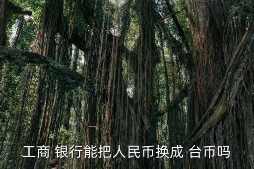 工商 銀行能把人民幣換成 臺幣嗎