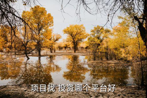 項(xiàng)目找 投資哪個(gè)平臺好