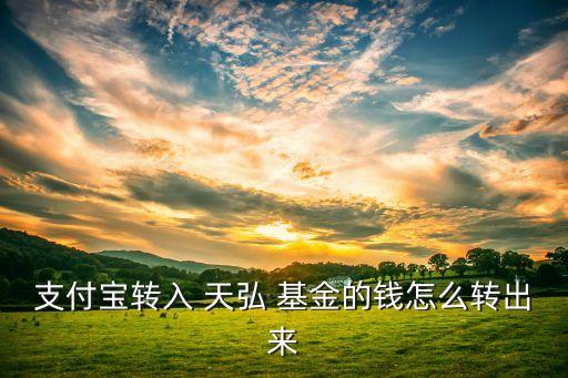 支付寶轉(zhuǎn)入 天弘 基金的錢怎么轉(zhuǎn)出來