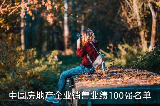 中國房地產(chǎn)企業(yè)銷售業(yè)績100強(qiáng)名單