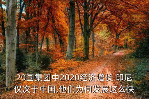 20國集團中2020經(jīng)濟增長 印尼僅次于中國,他們?yōu)楹伟l(fā)展這么快