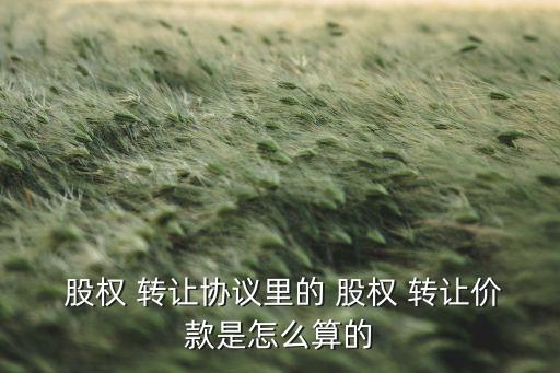  股權 轉讓協(xié)議里的 股權 轉讓價款是怎么算的