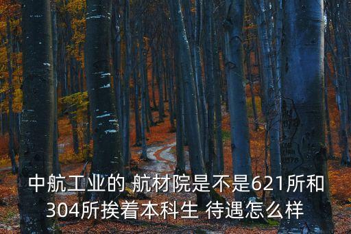 中航工業(yè)的 航材院是不是621所和304所挨著本科生 待遇怎么樣