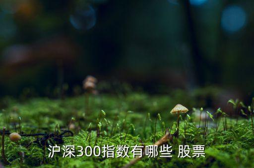 滬深300指數(shù)有哪些 股票