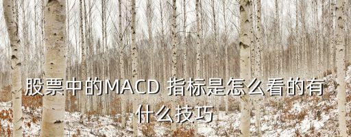 股票中的MACD 指標(biāo)是怎么看的有什么技巧