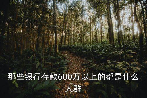 那些銀行存款600萬(wàn)以上的都是什么人群