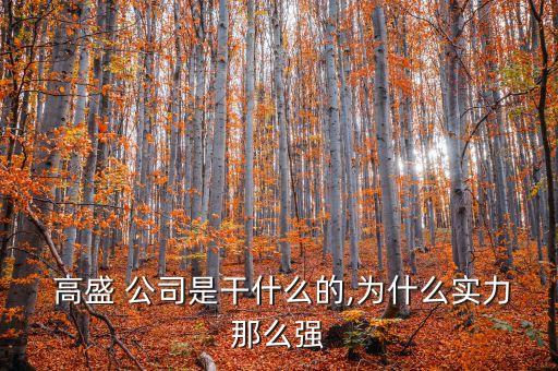 對高盛公司文化的理解