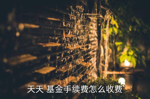 天天 基金手續(xù)費(fèi)怎么收費(fèi)