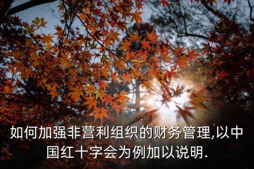 如何加強(qiáng)非營(yíng)利組織的財(cái)務(wù)管理,以中國(guó)紅十字會(huì)為例加以說(shuō)明.