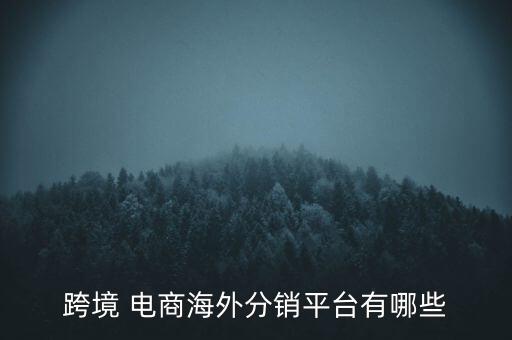 跨境 電商海外分銷平臺(tái)有哪些