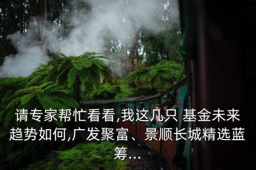 請專家?guī)兔纯?我這幾只 基金未來趨勢如何,廣發(fā)聚富、景順長城精選藍(lán)籌...