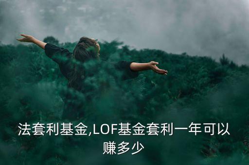 阿爾法套利基金,LOF基金套利一年可以賺多少