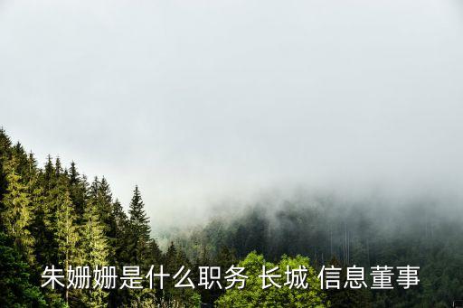 朱姍姍是什么職務(wù) 長(zhǎng)城 信息董事