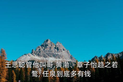 王思聰管他叫哥,黃渤、章子怡趨之若鶩, 任泉到底多有錢