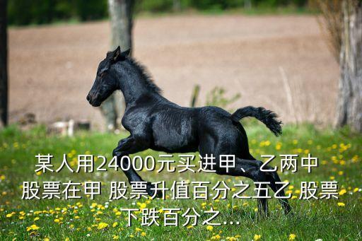 某人用24000元買進(jìn)甲、乙兩中 股票在甲 股票升值百分之五乙 股票下跌百分之...