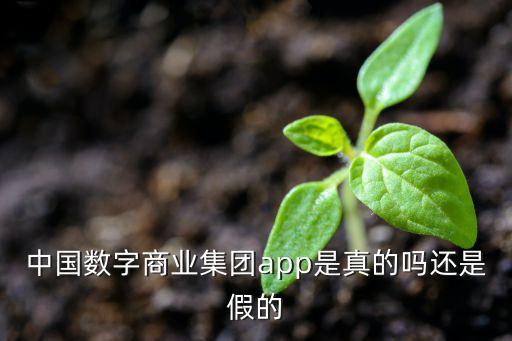 中國數(shù)字商業(yè)集團app是真的嗎還是假的