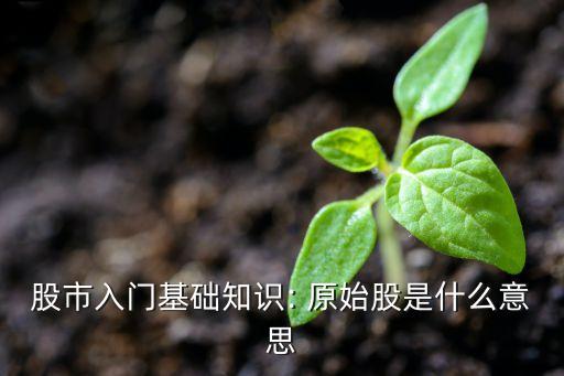 股市入門基礎(chǔ)知識: 原始股是什么意思