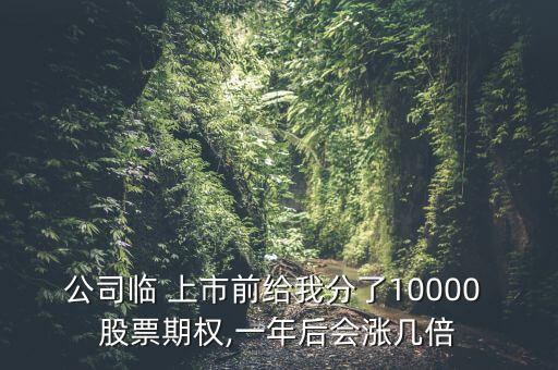 公司臨 上市前給我分了10000 股票期權(quán),一年后會(huì)漲幾倍