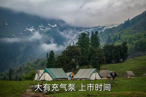 大有充氣泵 上市時間