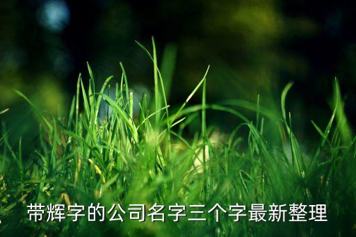 深圳市和輝信達(dá)投資有限公司