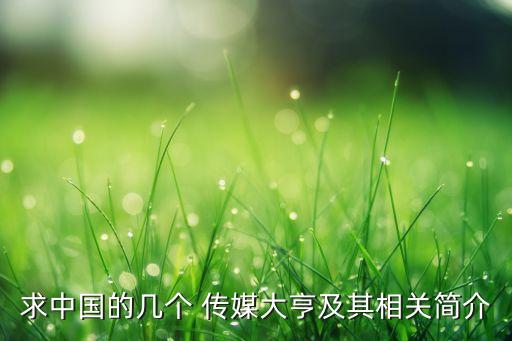 求中國(guó)的幾個(gè) 傳媒大亨及其相關(guān)簡(jiǎn)介