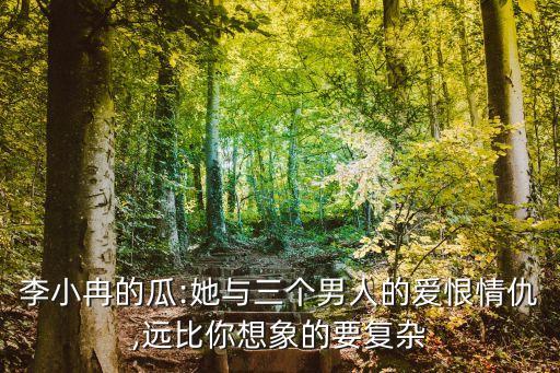 李小冉的瓜:她與三個男人的愛恨情仇,遠比你想象的要復(fù)雜